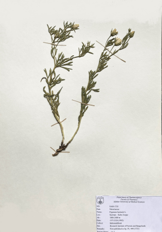 Peganum harmala L.-اسفند