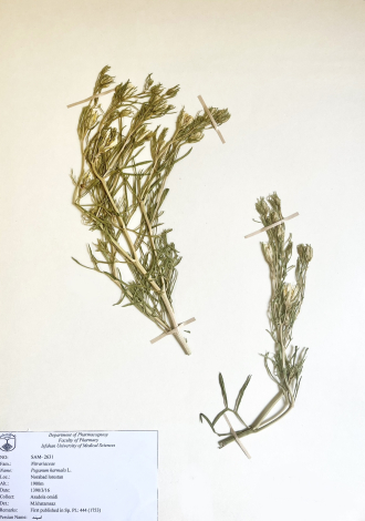 Peganum harmala L.-اسپند